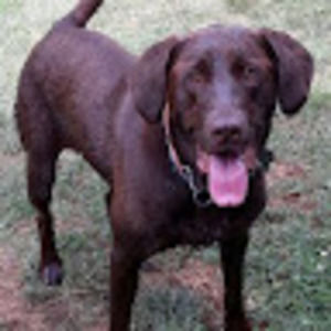 Meet your Posher, Ruth a.